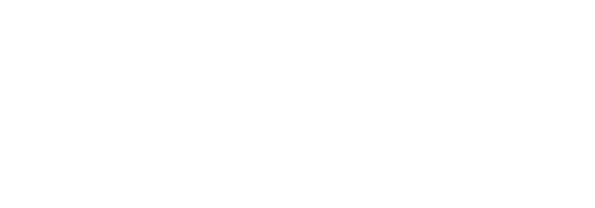 2025 - Award Winner Logo - EISA - Best SEIS Investment Manager - White
