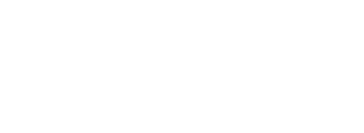 2022 - Award Winner Logo - EISA - Best SEIS Investment Manager - White