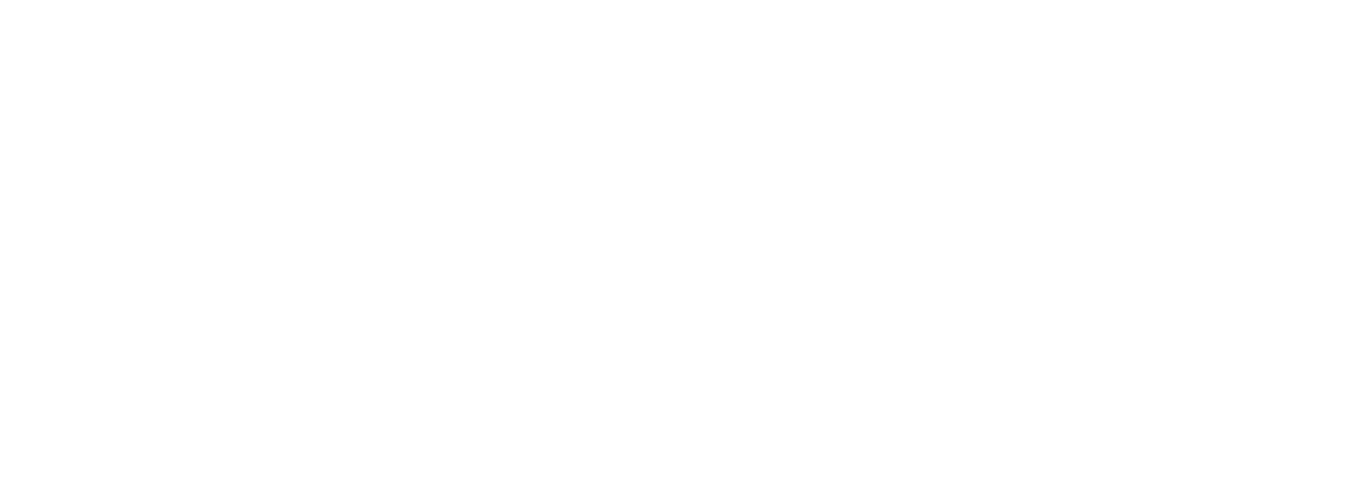 2020 - Award Logo x Highly Commended - EISA - Best SEIS Fund Manager - White