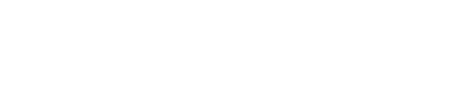 2023 - Award Runner Up Logo - GIA - Best SEIS Investment Manager - White
